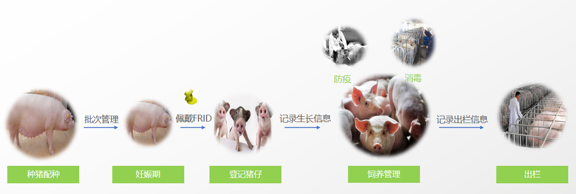 1690437040990535.png image.png