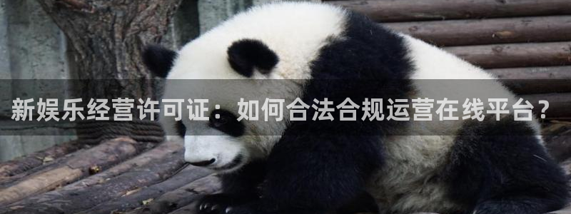 壹号下载官网入口：新娱乐经营许可证：如何合法合规运营在线平台？
