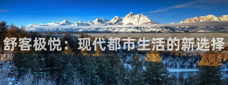 壹号平台下载：舒客极悦：现代都市生活的新选择