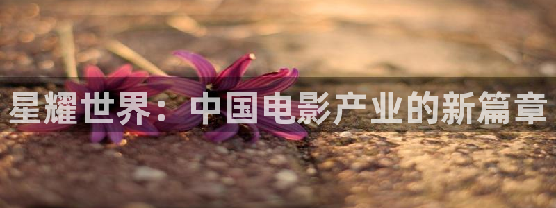 永利皇官退款怎么退：星耀世界：中国电影产业的新篇章
