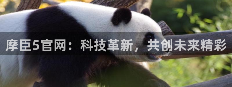 壹号电子娱乐app下载：摩臣5官网：科技革新，共创未来精彩