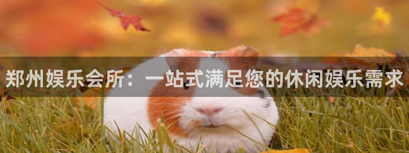 永利皇官官网：郑州娱乐会所：一站式满足您的休闲娱乐需求