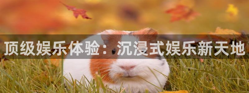 壹号top娱乐：顶级娱乐体验：沉浸式娱乐新天地