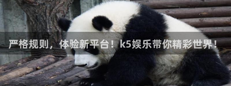 壹号电子娱乐app下载安装：严格规则，体验新平台！k5娱乐带你精彩世界！