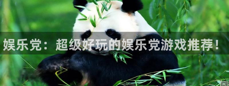壹号大舞台网站：娱乐党：超级好玩的娱乐党游戏推荐！