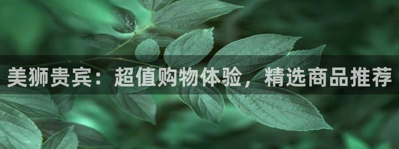 永利皇官app网页入口：美狮贵宾：超值购物体验，精选商品推荐