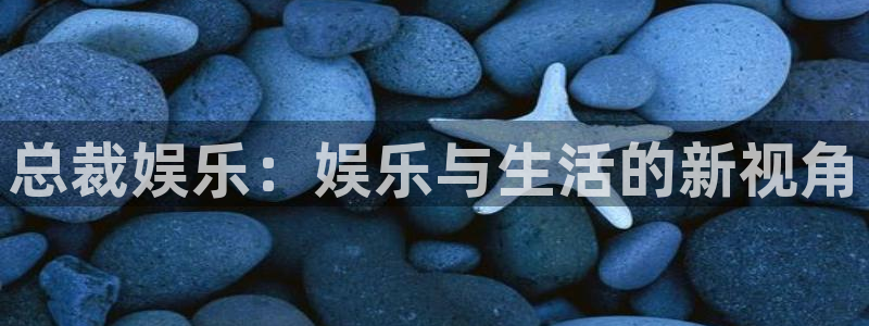 永利皇官强制退款流程详解：总裁娱乐：娱乐与生活的新视角