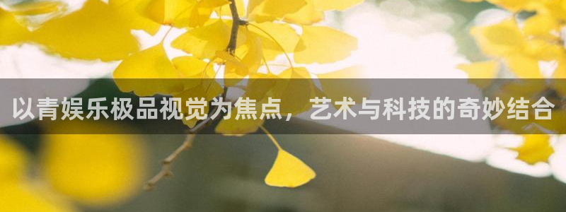 永利皇官,apk.：以青娱乐极品视觉为焦点，艺术与科技的奇妙结合
