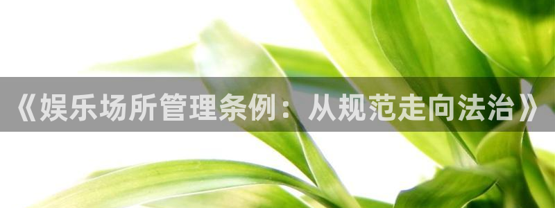 壹号app官网：《娱乐场所管理条例：从规范走向法治》