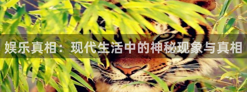 永利皇官-ng大舞台,有梦你就来：娱乐真相：现代生活中的神秘现象与真相