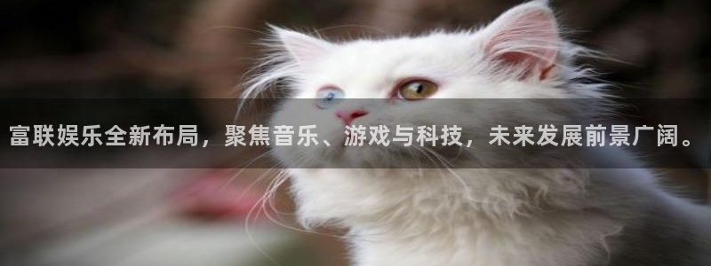 永利皇官app：富联娱乐全新布局，聚焦音乐、游戏与科技，未来发展前景广阔。