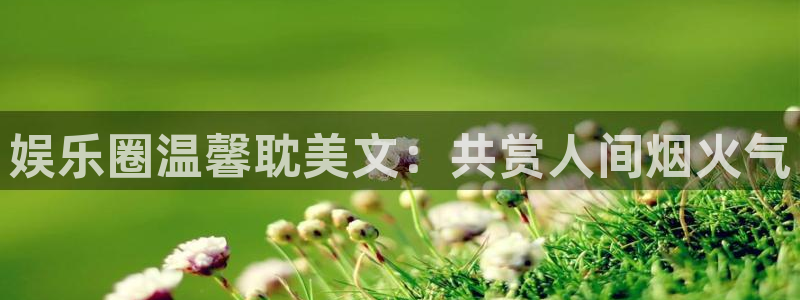 永利皇官官网下载：娱乐圈温馨耽美文：共赏人间烟火气