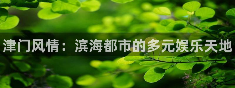 永利皇官官网入口：津门风情：滨海都市的多元娱乐天地