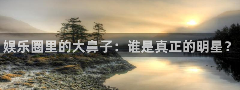 壹号官网app下载安装：娱乐圈里的大鼻子：谁是真正的明星？
