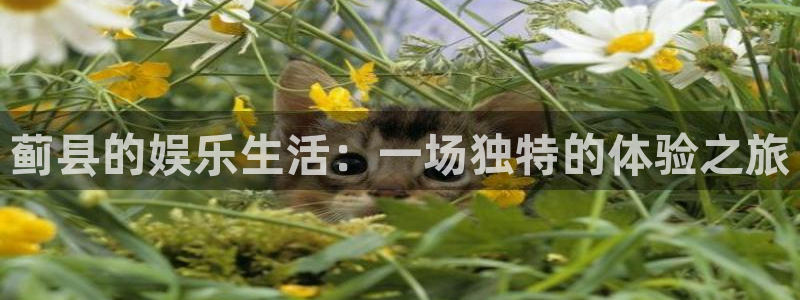 永利皇官官网：蓟县的娱乐生活：一场独特的体验之旅