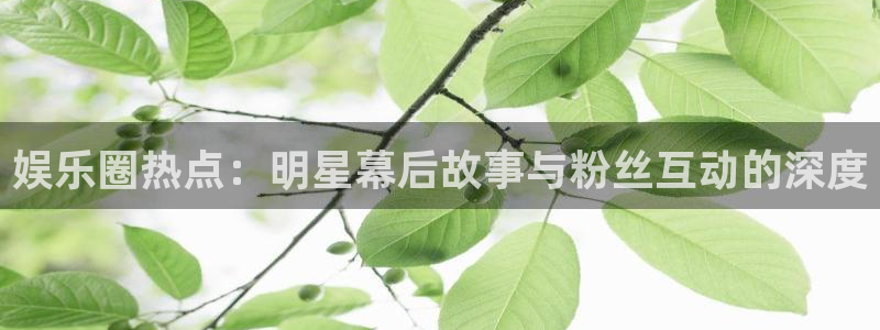 壹号电子娱乐app下载：娱乐圈热点：明星幕后故事与粉丝互动的深度