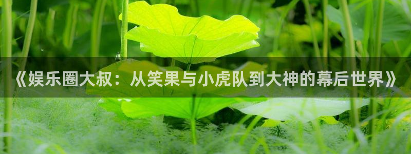 永利皇官平台app下载：《娱乐圈大叔：从笑果与小虎队到大神的幕后世界》