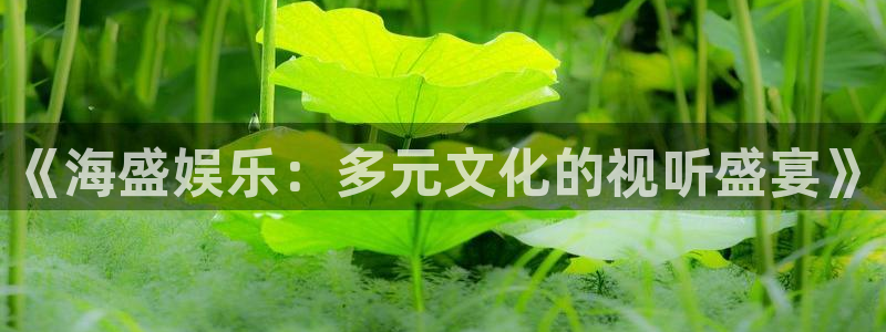 永利皇官app网页入口：《海盛娱乐：多元文化的视听盛宴》