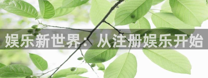 壹号平台注册链接官网下载：娱乐新世界：从注册娱乐开始
