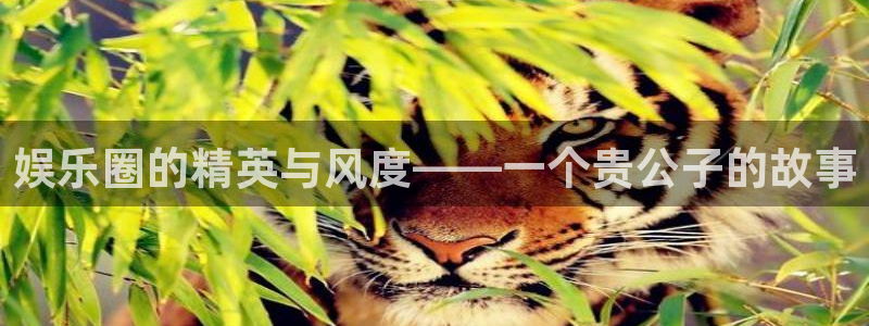 永利皇官平台app下载：娱乐圈的精英与风度——一个贵公子的故事