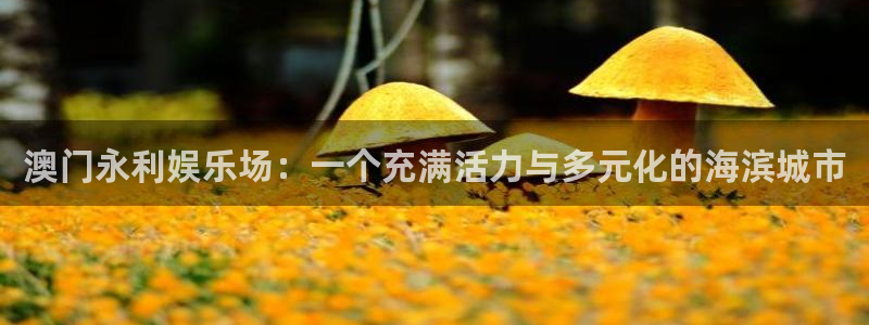 壹号玩家app下载：澳门永利娱乐场：一个充满活力与多元化的海滨城市