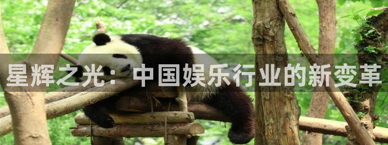 壹号大舞台28国际大舞台：星辉之光：中国娱乐行业的新变革