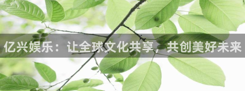 永利皇官,apk.：亿兴娱乐：让全球文化共享，共创美好未来