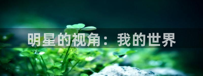 永利皇官app：明星的视角：我的世界