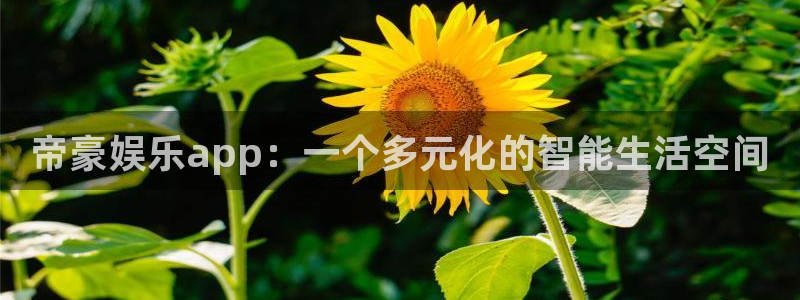 壹号平台下载安装：帝豪娱乐app：一个多元化的智能生活空间